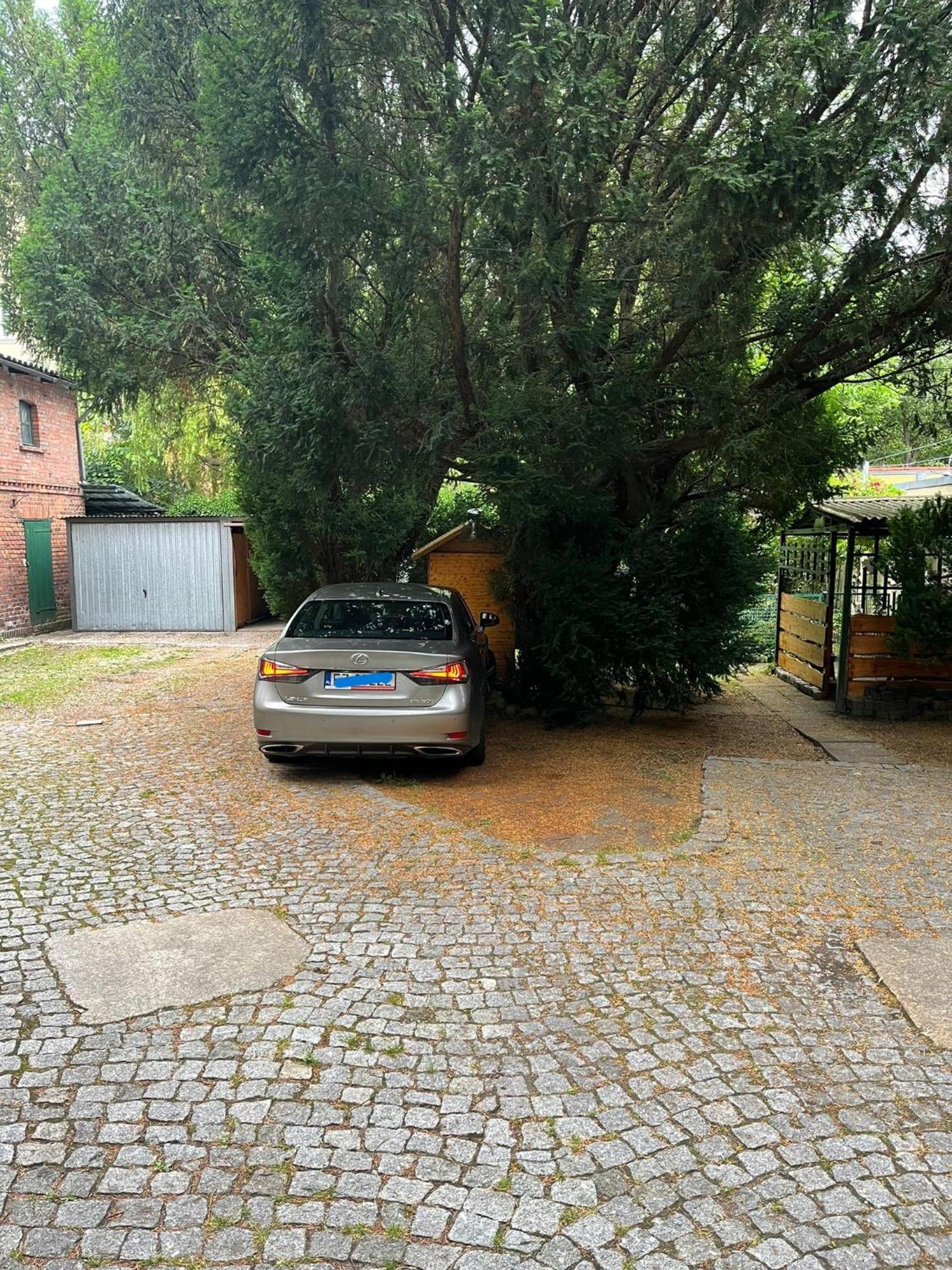 Apartament Przy Kazimierza Grünberg Exterior foto